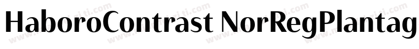 HaboroContrast NorRegPlantagenetChe字体转换